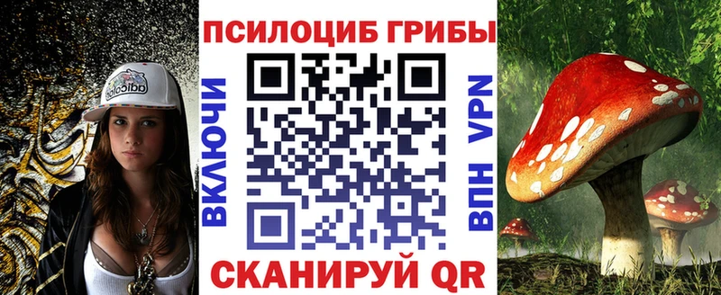 Галлюциногенные грибы MAGIC MUSHROOMS  закладки  Невельск 